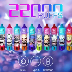 Bang Beach 22000 Puffs 0% 2% 3% 5% Low Nicotine Rechargeable Bulk Buy Disposable Vape Pen Wholesale