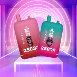 Bang King 25000 Puffs Dual Pods 0% 2% 3% 5% Low Nicotine Rechargeable Disposable Vapes Pen Bulk Buy Wholesale